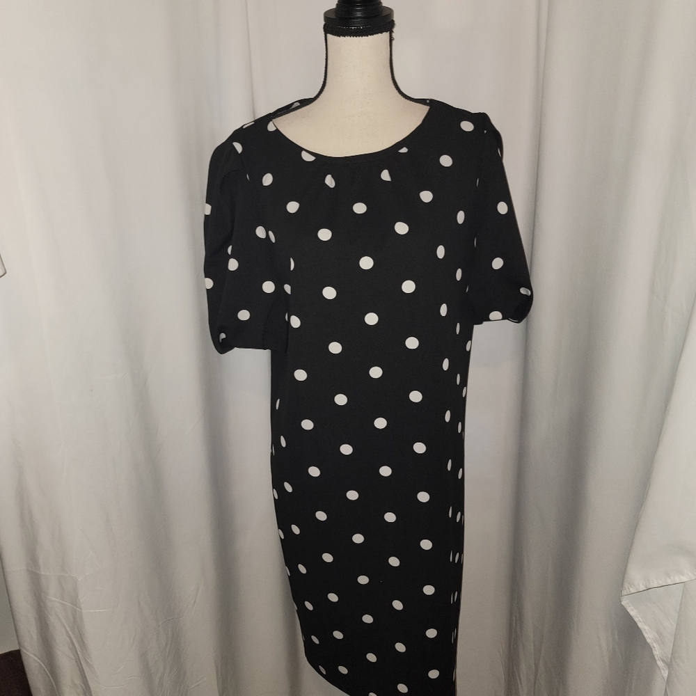 New York And Company Women’s Dress Polka Dot Sheath Puffy Sleeve Stretch - Picture 6 of 6